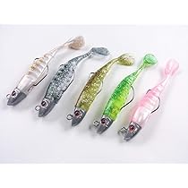 Amazon.co.jp: 魚の頭 ジグヘッド ＋ ワーム ソフトルアー 11cm